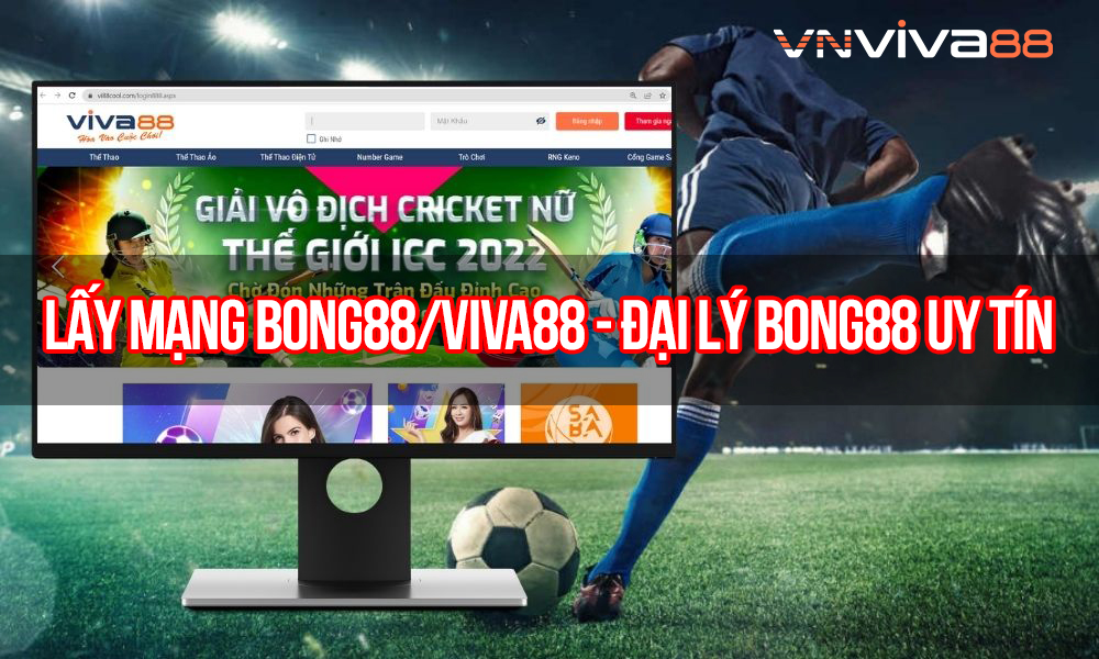 Lấy Mạng Bong88/Viva88 – Đại Lý Bong88 Uy tín