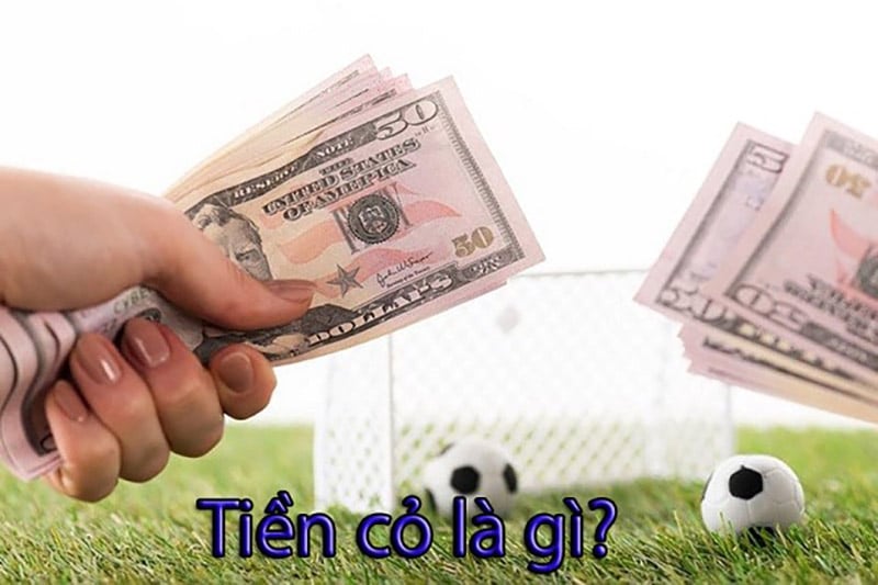 Tiền Com trong cá độ bóng đá là gì ?